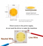 Сверхяркий светодиод 12W белый цвет (5800-6500K, 1200 lm, 220-240В AC) 19*19мм