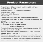 Компактный стереоусилитель AMP ZK-TB21 HiFi 2*50+100Вт с Bluetooth 5,0 и темброблоком на TPA3116D2, класс D, 12-24В