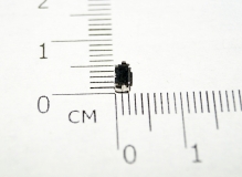 Кнопка тактовая SMD 4 * 3 * 2 мм (черная)