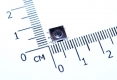 Кнопка тактовая SMD 6 * 6 * 3,1 мм IT-1157BHNP-160G-G (DTSMW-66N-V-T/R) (черная, с заземлением)